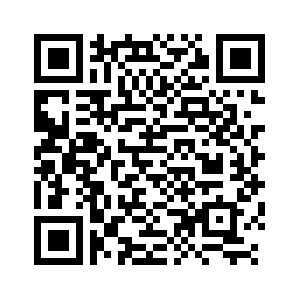 2023年陜西貨物貿(mào)易進(jìn)出口總值達(dá)4042.06億元 逆勢(shì)增長(zhǎng)背后的韌性探析