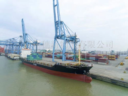 廣州南沙區(qū)物流 南沙區(qū)貨運 廣州南沙港集裝箱運輸